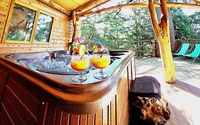 Les Insolites de la Font Vineuse